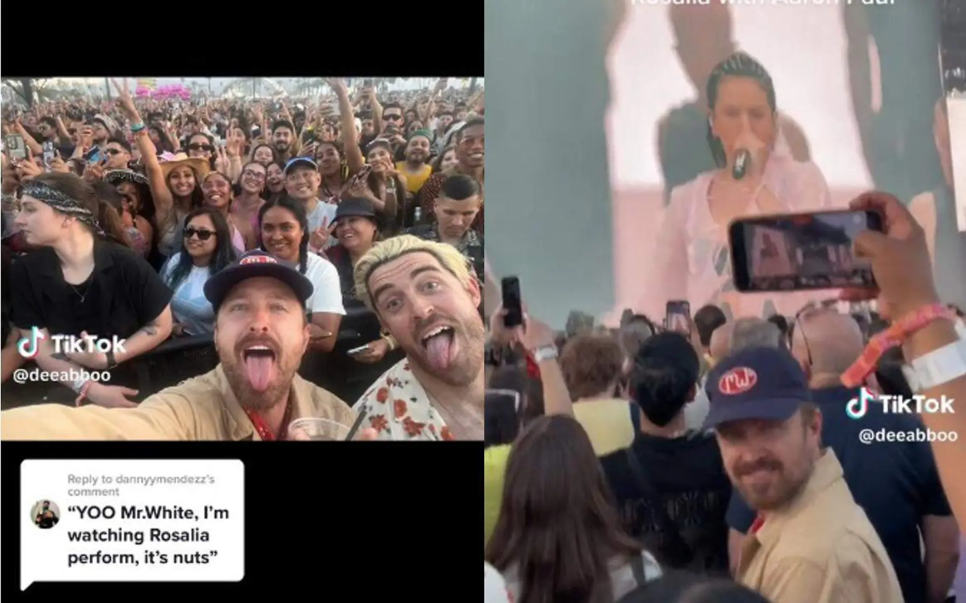 Aaron Paul en el festival Coachella